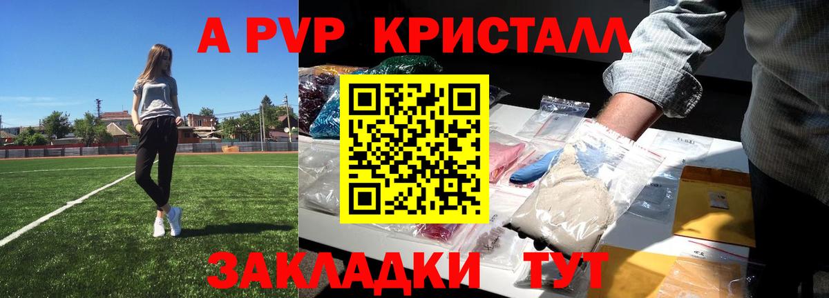 A PVP СК КРИС Саратов