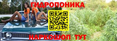 молекула духа Ликино-Дулёво