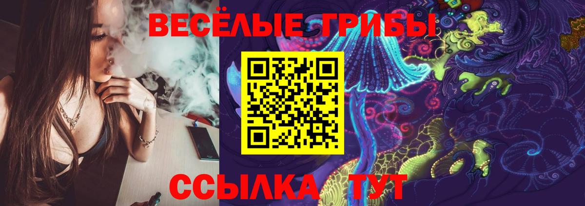 Псилоцибиновые грибы Psilocybe  Вход с VPN  Саратов  Галлюциногенные грибы мицелий 