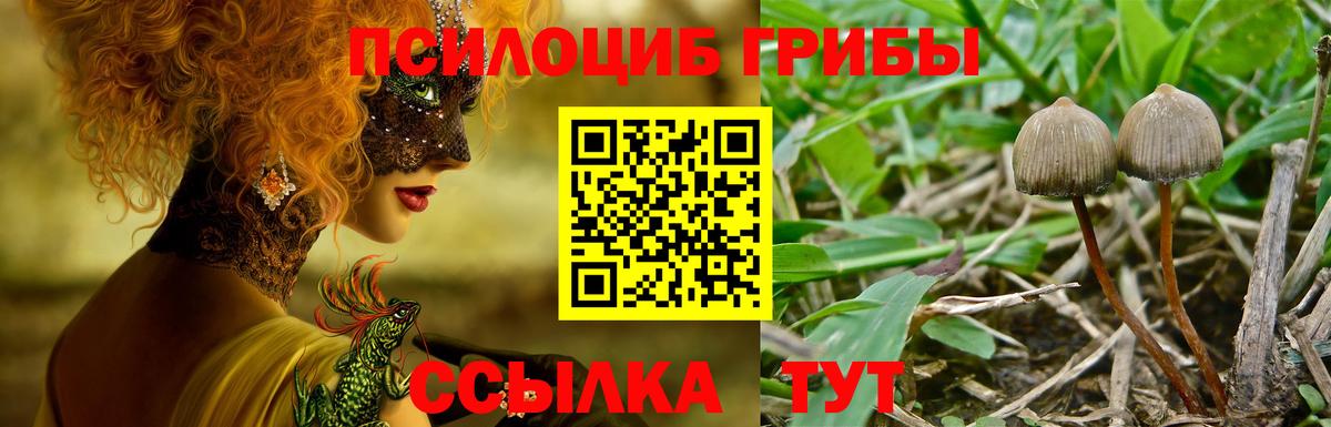 Псилоцибиновые грибы GOLDEN TEACHER Саратов